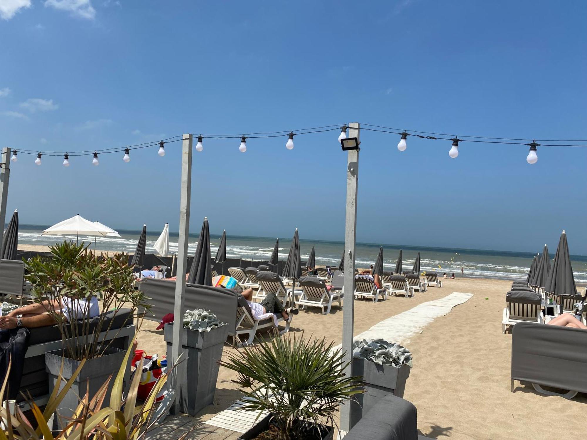 Cote Plage - Magnifique Appartement De Charme A Trouville Sur Mer - Linge - Lit Fait - Parking - Wifi - Classe Par L'Office Du Tourisme Eksteriør billede