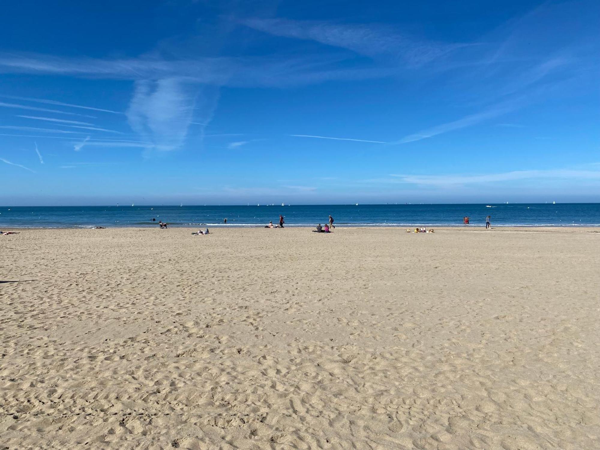 Cote Plage - Magnifique Appartement De Charme A Trouville Sur Mer - Linge - Lit Fait - Parking - Wifi - Classe Par L'Office Du Tourisme Eksteriør billede